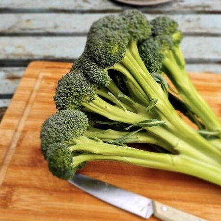 Skytree, Broccoli Seeds - Packet image number null